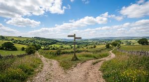 A countryside signpost at a fork in two dirt paths, symbolising the choice between a full data import or a fresh start